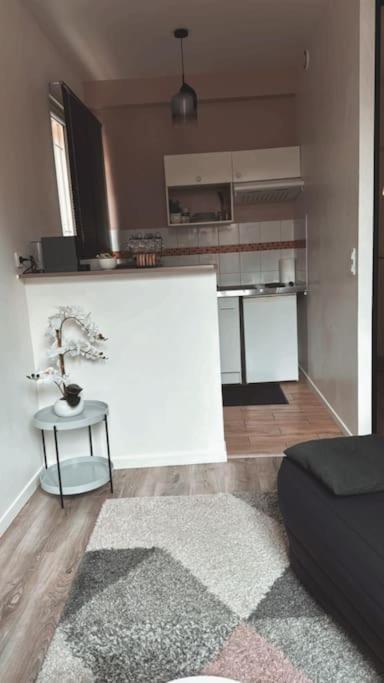 Beautiful F2 Apartment 5 Stops By Train From Paris モレ・シュル・ロワン エクステリア 写真